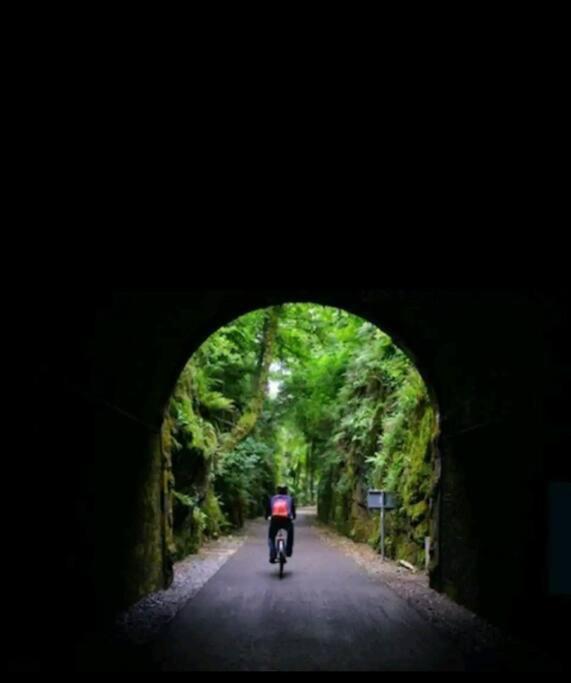 Kozy Kabin Waterford Exteriör bild