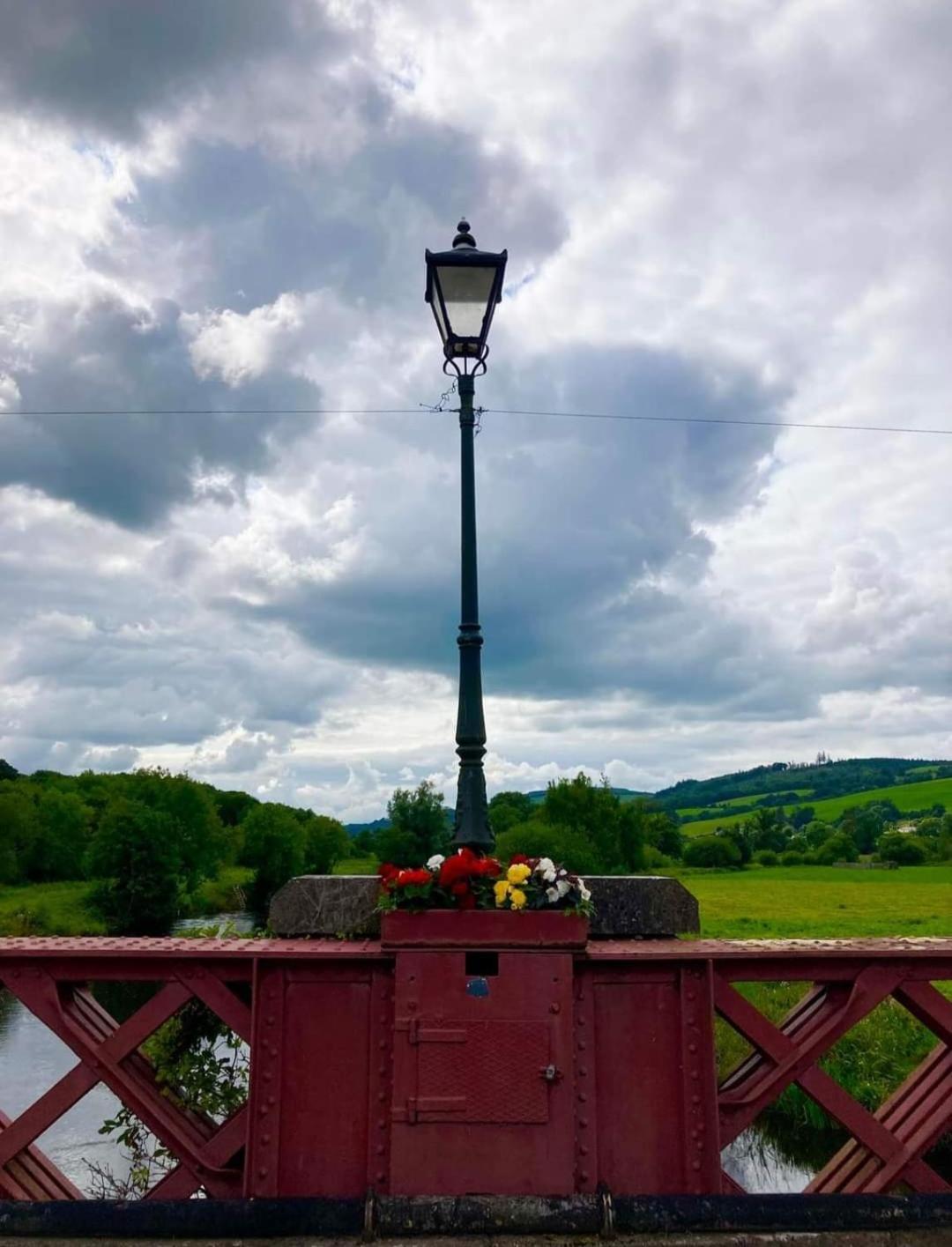 Kozy Kabin Waterford Exteriör bild