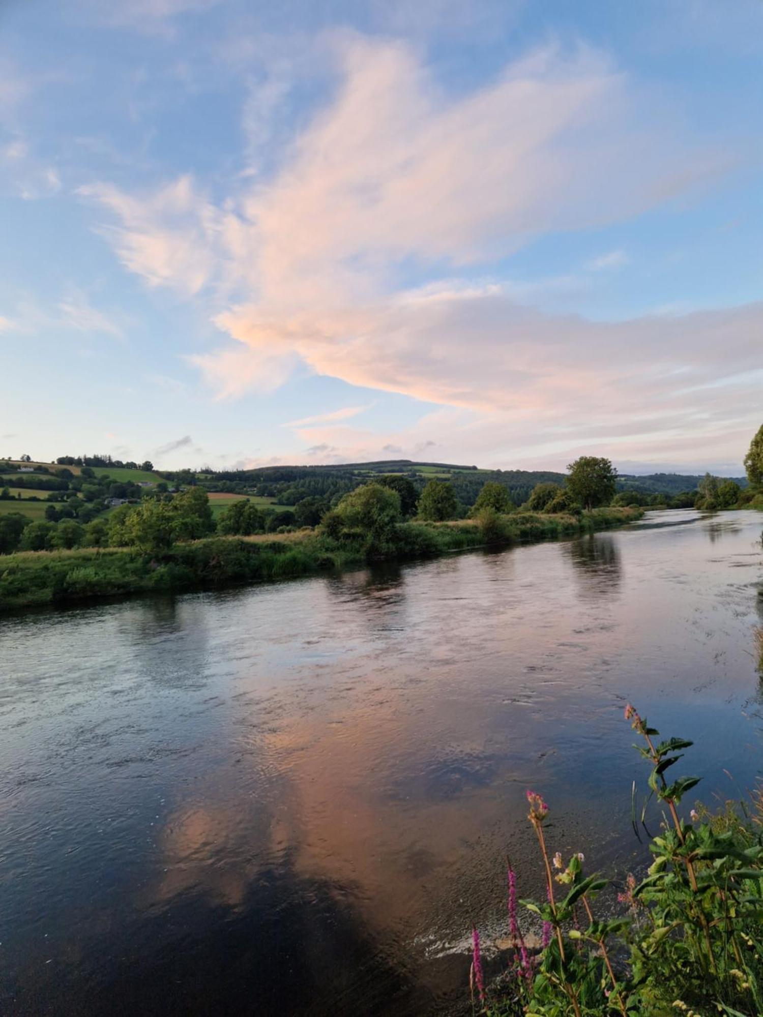 Kozy Kabin Waterford Exteriör bild