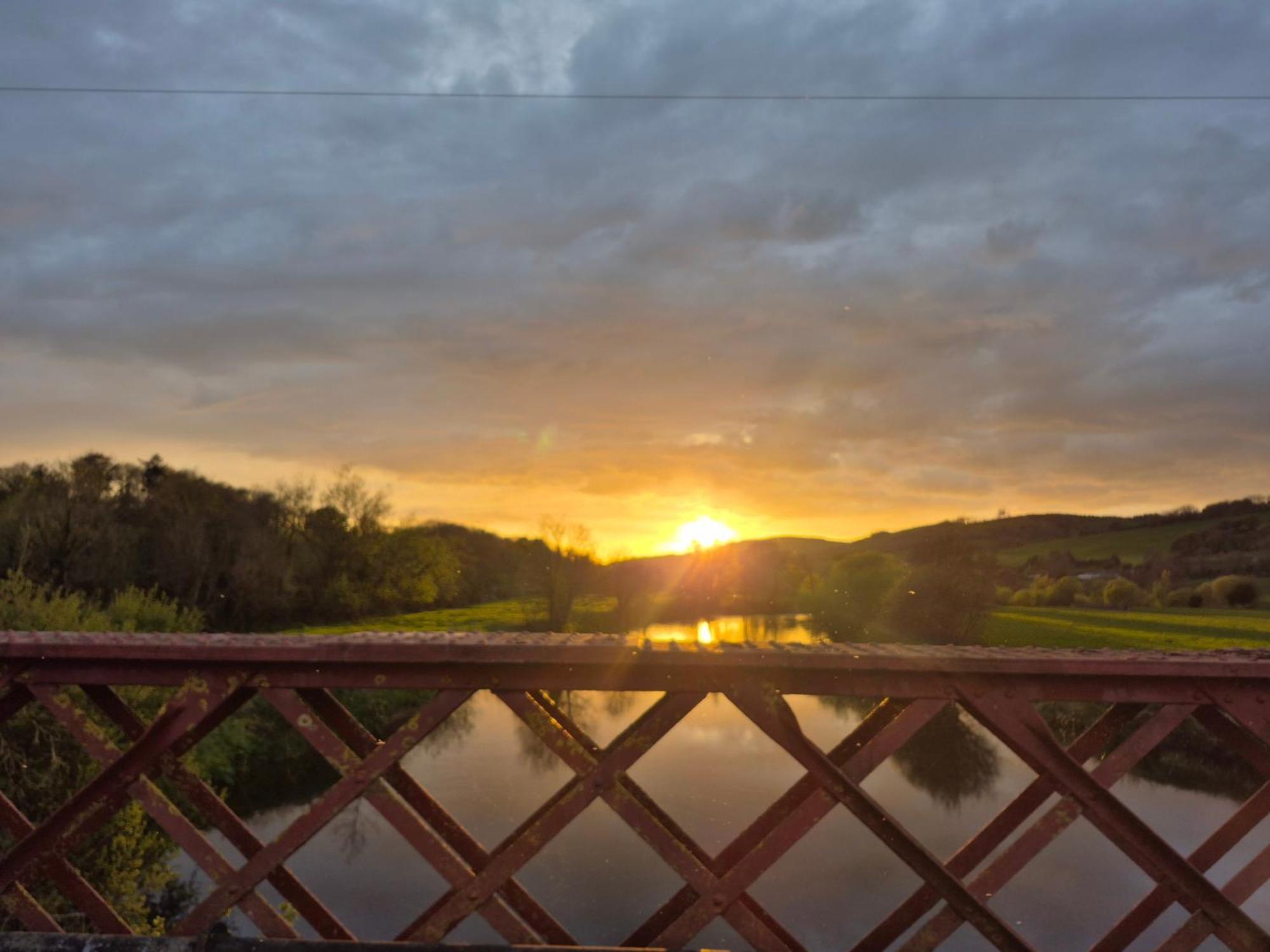 Kozy Kabin Waterford Exteriör bild